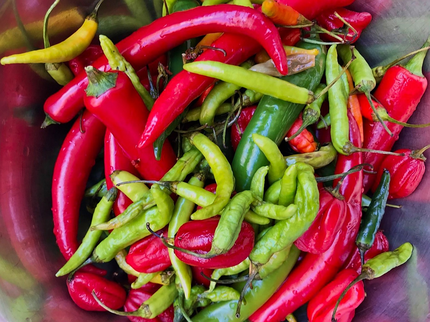 sriracha-01.jpg
