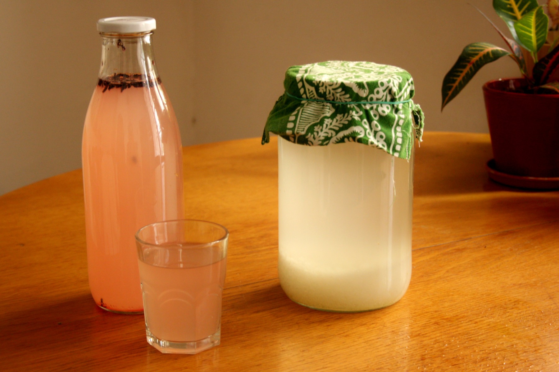 kefir-06.jpg