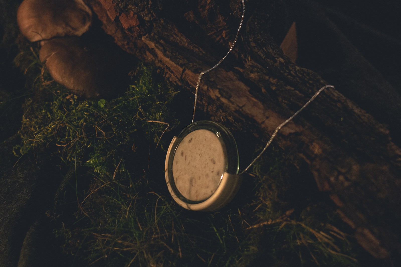 allferments-04.jpg
