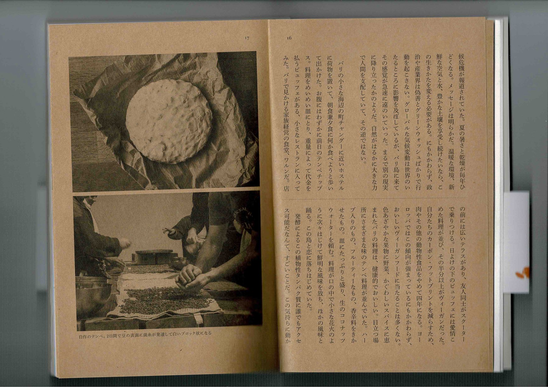 scan-4.jpg