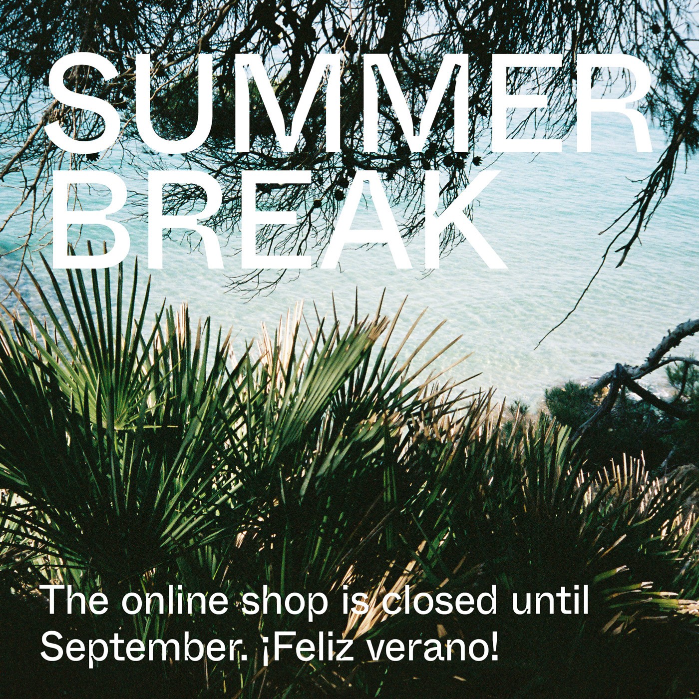 summer-break-w.jpg