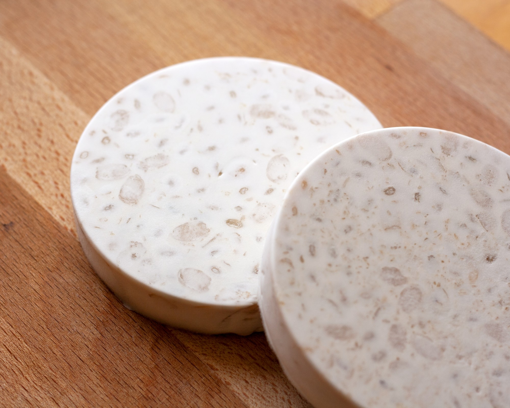 tempeh-workshop-01.jpg