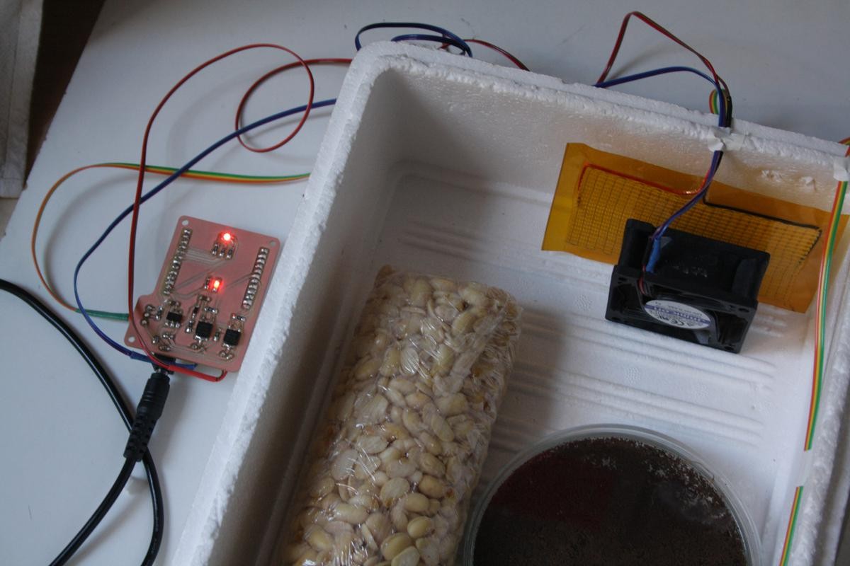 biolab-kitchen-incubator-v0.2-incub-v01-01.jpg