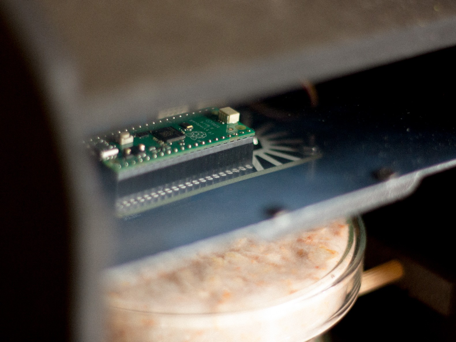 img_0916-web-compressed.jpg